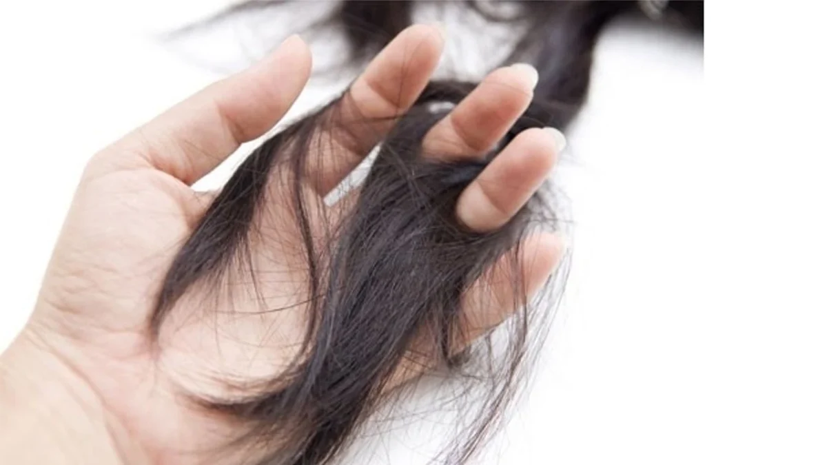 Demir Eksikliği Saç Döker mi? Kanıta Dayalı İnceleme