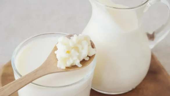 kefir-yogurt-fermente-gidalar-bagisiklik