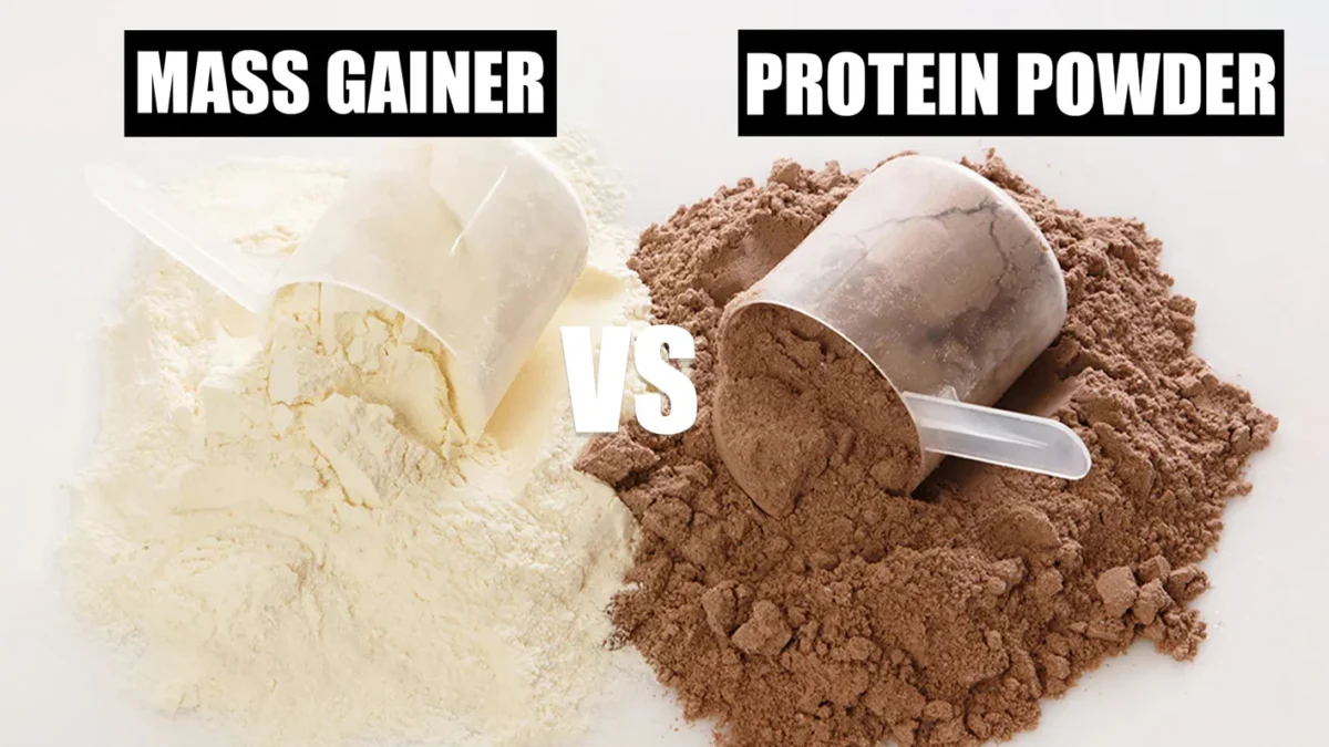 Gainer (Mass Gainer) Nedir? Kilo Aldırıcı Protein Tozu mu, Karbonhidrat Tozu mu?