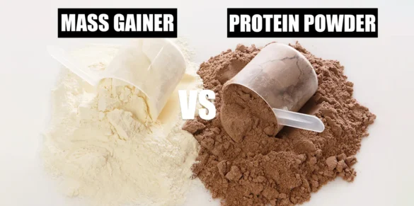 gainer-protein-tozu