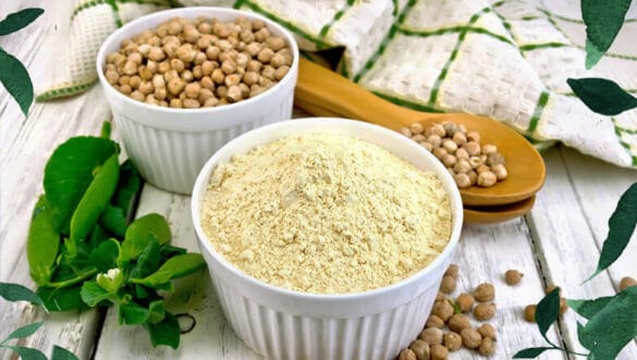 vegan-protein-tozu