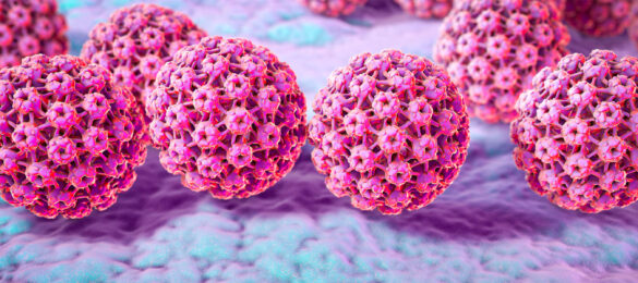 hpv-bagisiklik-guclendirme