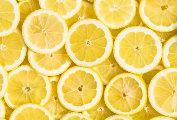 limon-alerji-yapar-mi