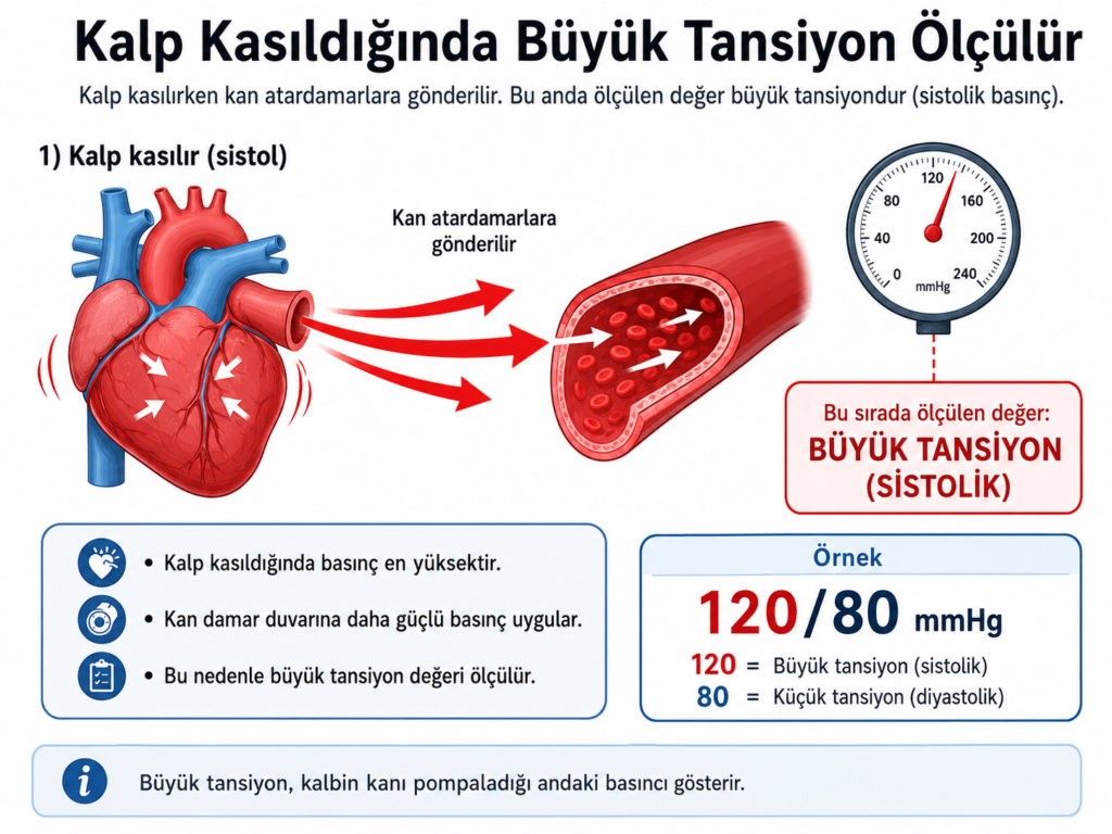 Kalbin kasıldığı anda kanın atardamarlara gönderildiğini ve bu sırada büyük tansiyonun ölçüldüğünü gösteren sade kalp-damar infografiği